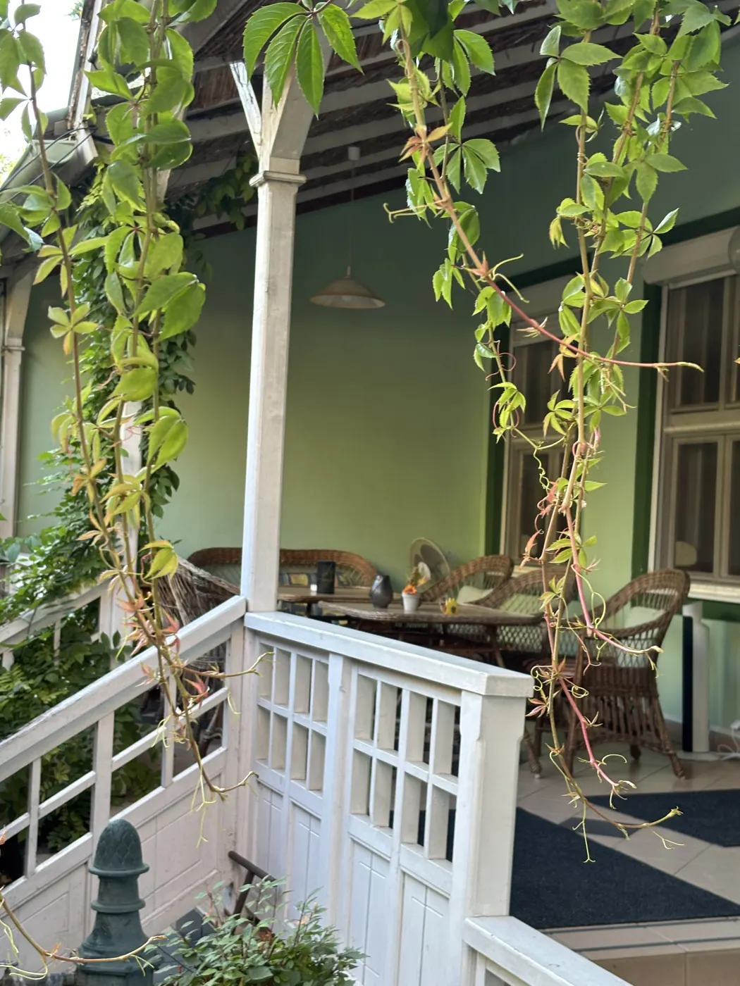 Bejárat és terasz a vadszőlős pergola alatt